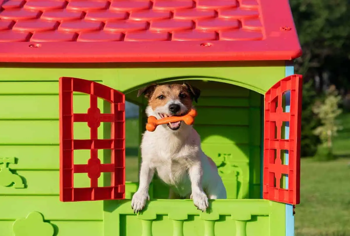 How to Insulate a Plastic Dog House - pawscessories.com