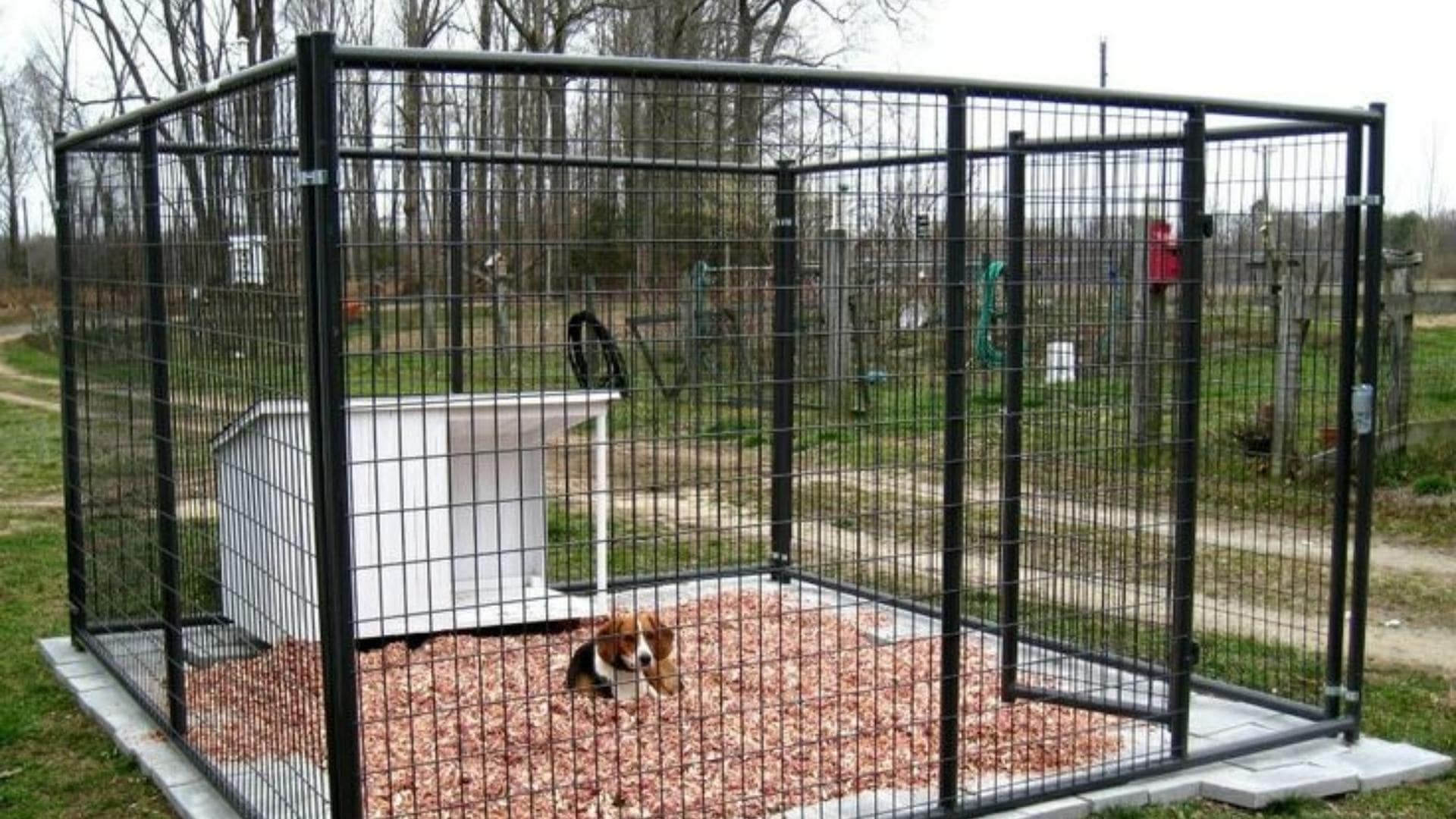 What To Put In A Dog House For Bedding? (8 Bedding Options)