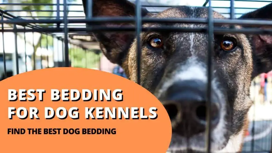 best bedding for dog kennel