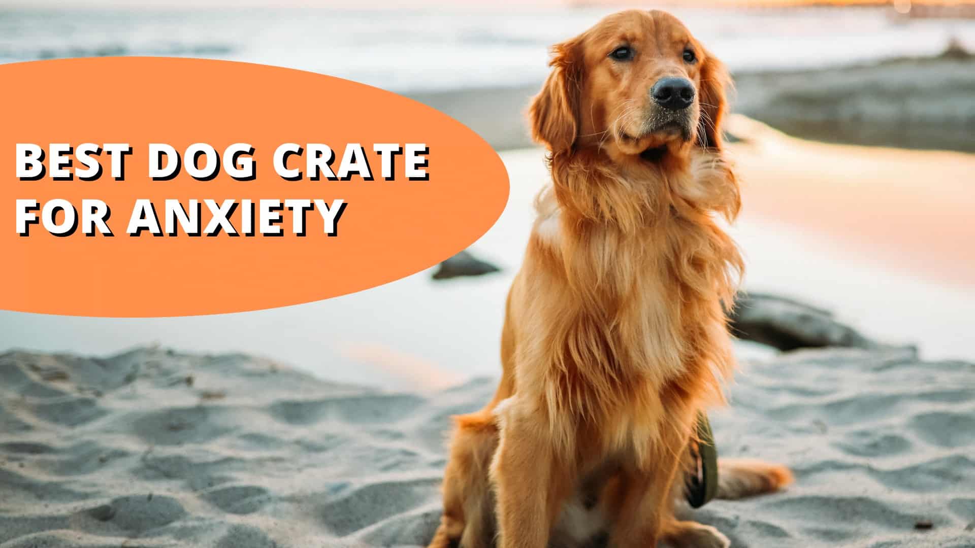 best dog crate for anxiety