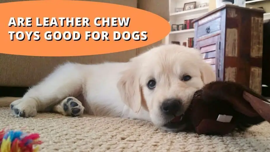 Are Leather Chew Toys Good For Dogs