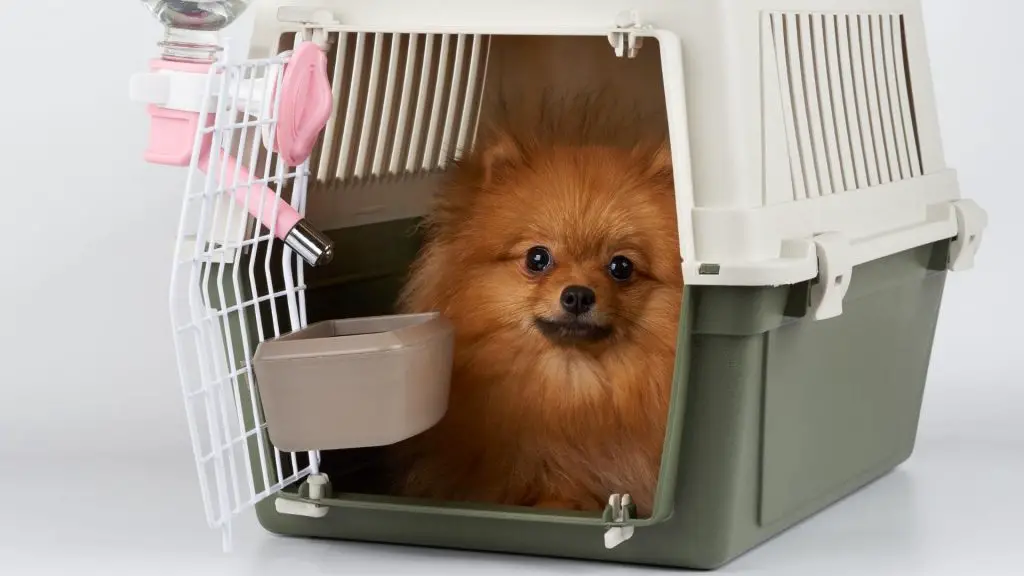 How Long Can A Dog Stay In A Crate? Tips For Puppies & Adults