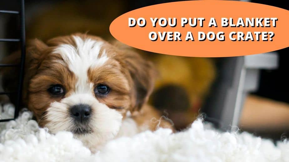 Do You Put A Blanket Over A Dog Crate – The Pros & Cons