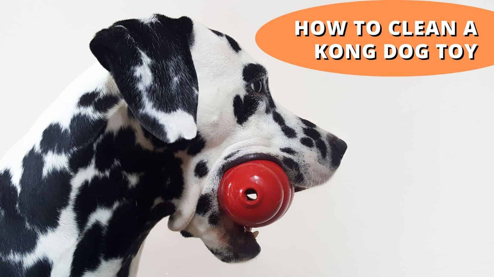 things to put in a kong for a dog