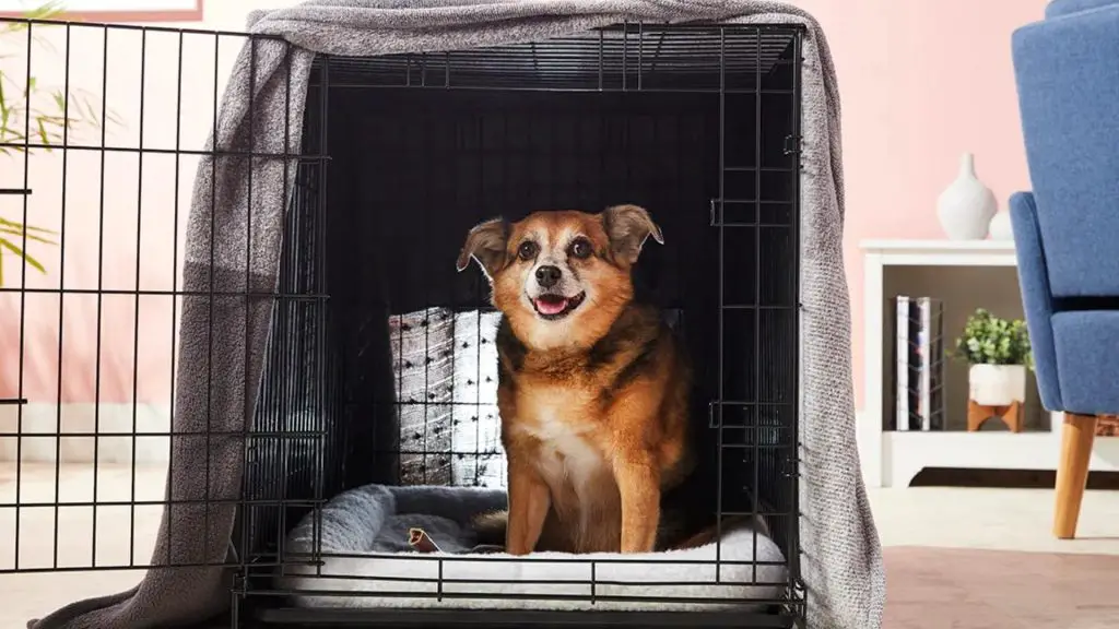 blanket over puppy crate