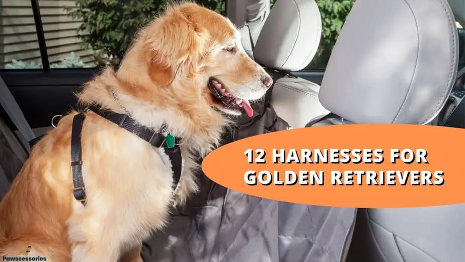 12 Best Harnesses for Golden Retrievers: Facts, FAQs & Features