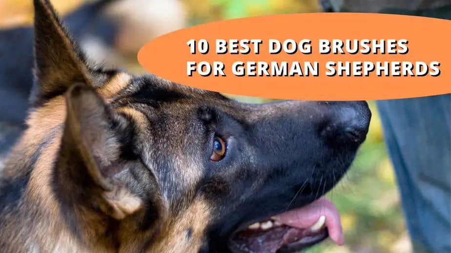 best brush for german shepherd