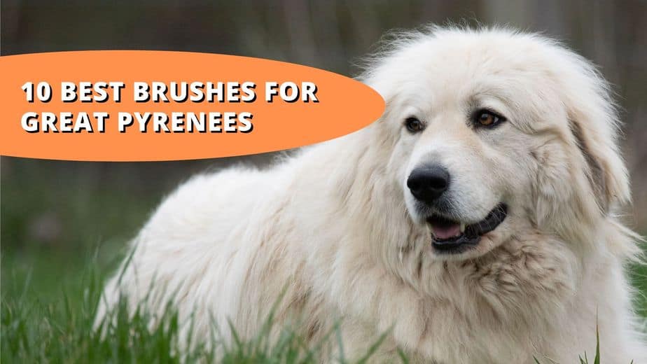 best brush for great pyrenees
