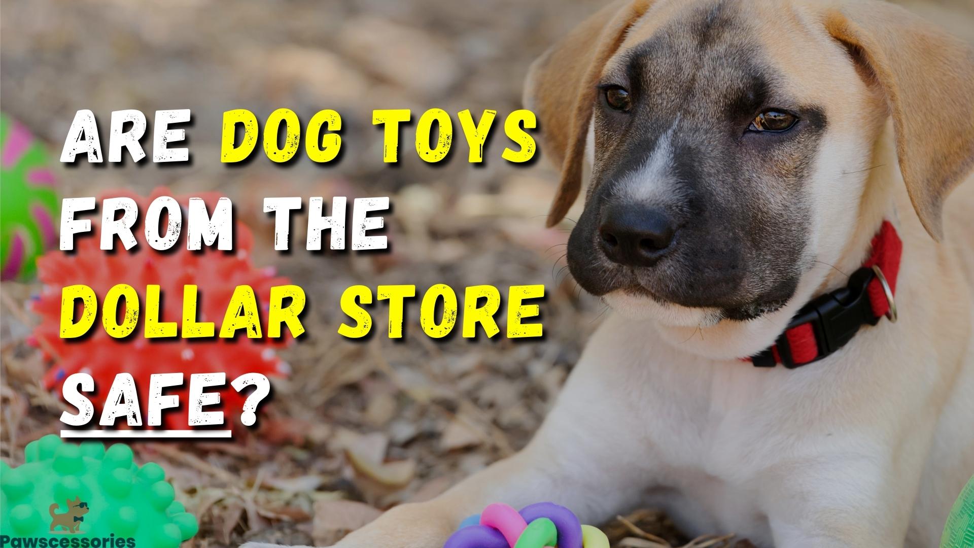 Are Dollar Store Dog Toys Safe