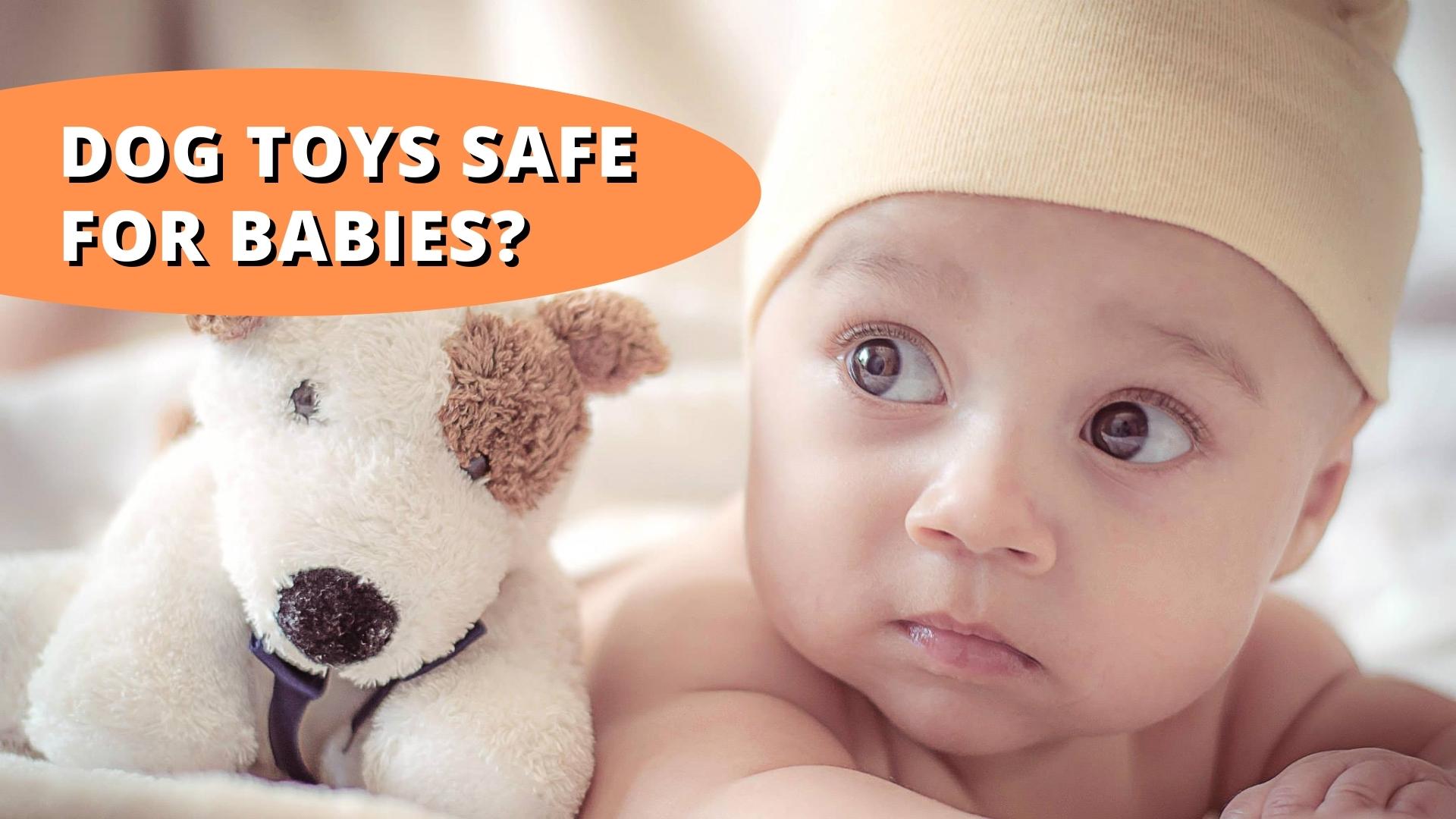 dog-toys-safe-for-babies-what-you-need-to-know