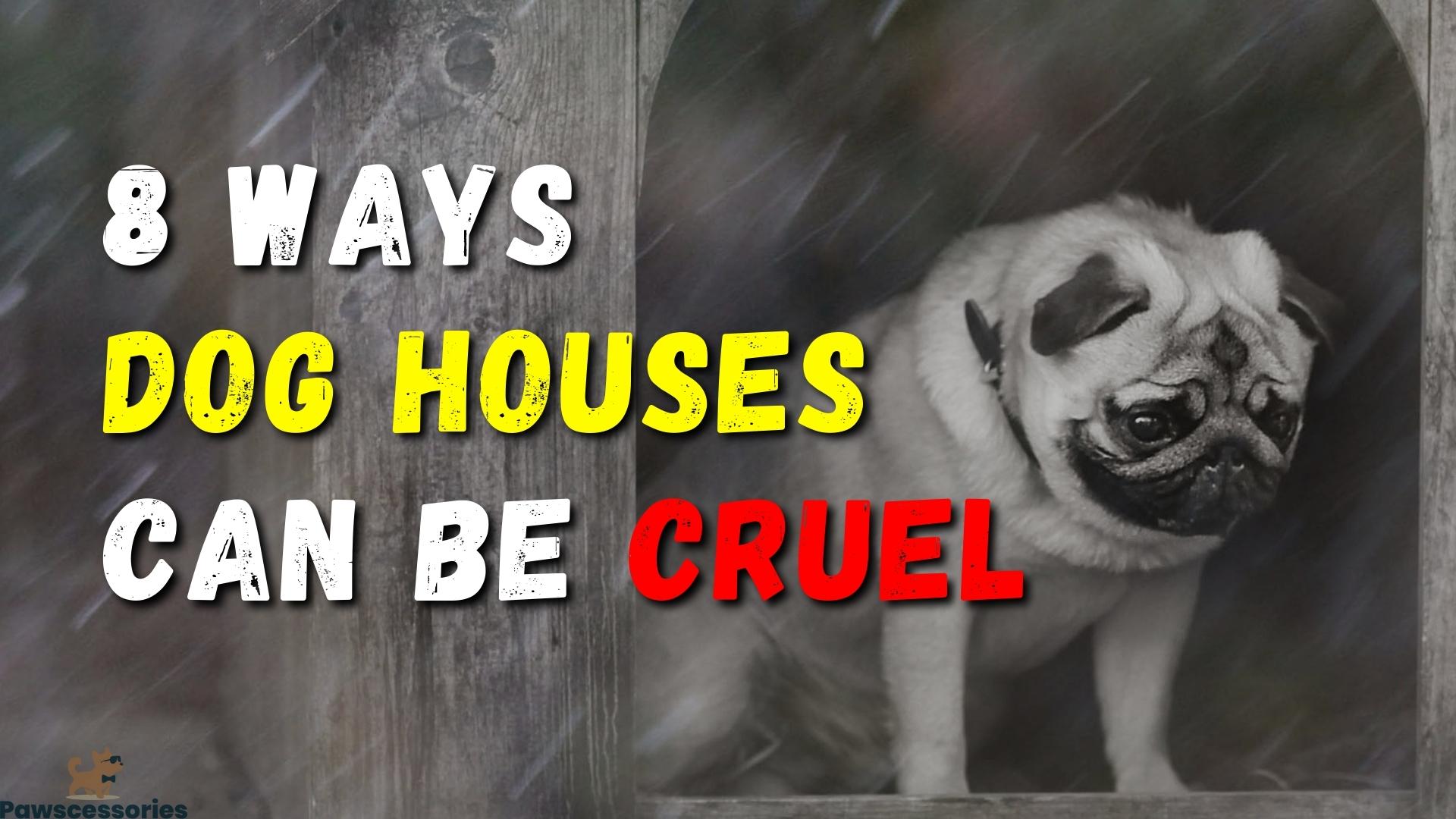8 Ways Dog Houses Are Cruel 6 Tips Make Them Safe 