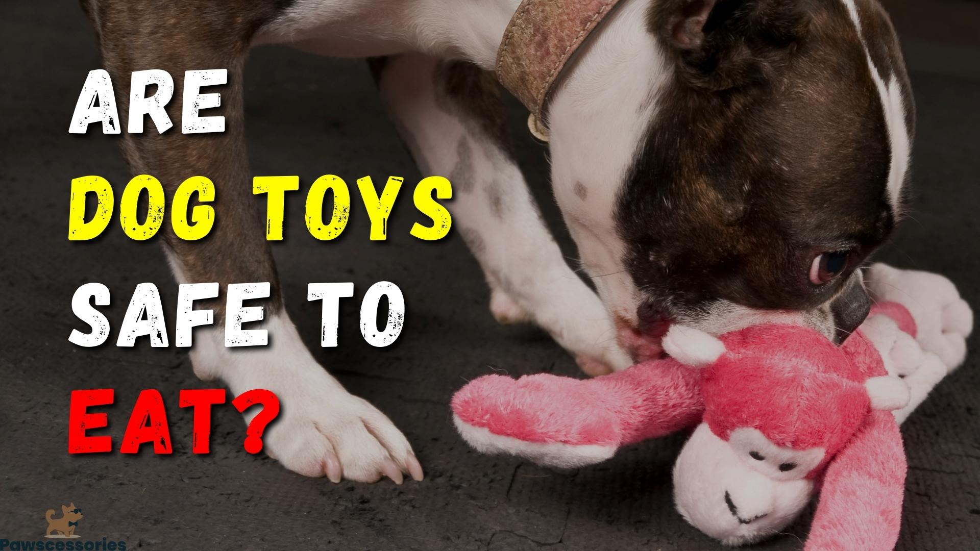 are-dog-toys-safe-to-eat-what-you-need-to-know