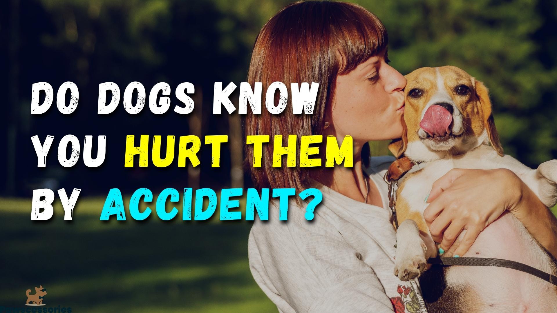 Top 3 Ways Dogs Know You Hurt Them By Accident + Tips