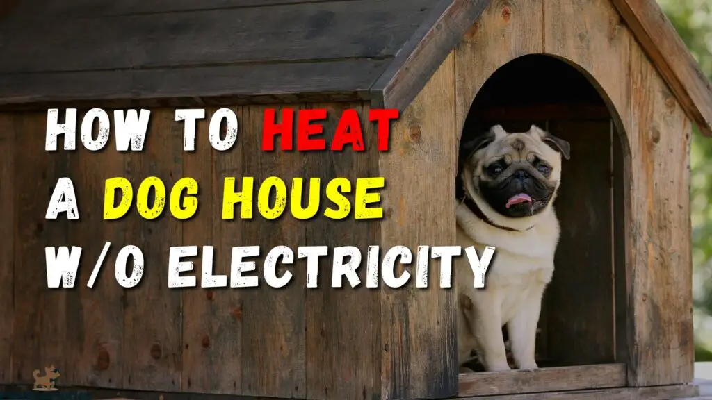 How to heat a dog house without electricity