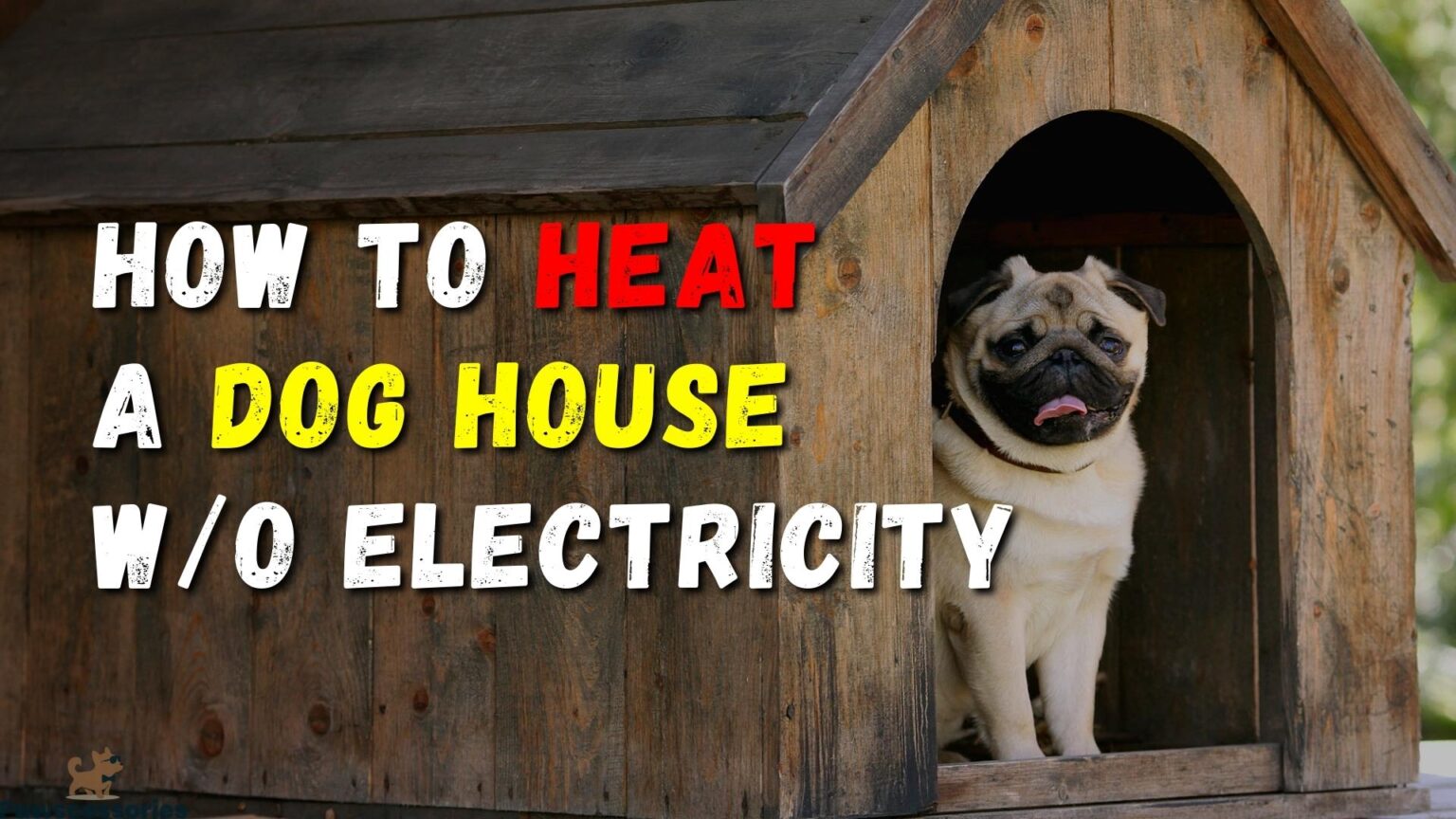 9 Ways To Heat a Dog House Without Electricity + Tips For Winter