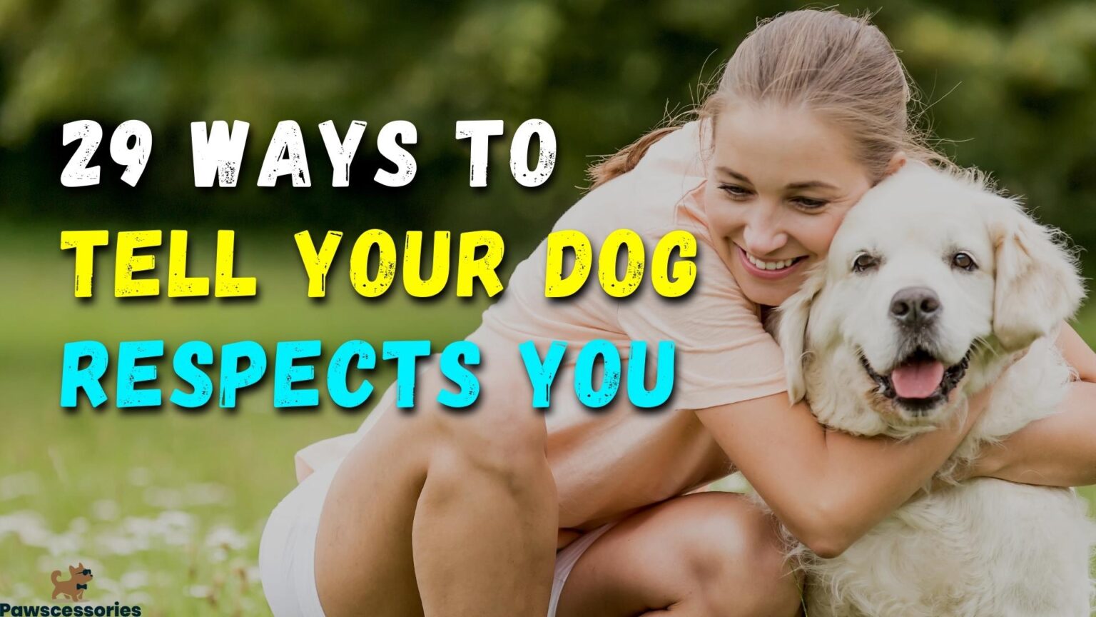 29 Ways To Tell If Your Dog Respects You (14 Is Odd)