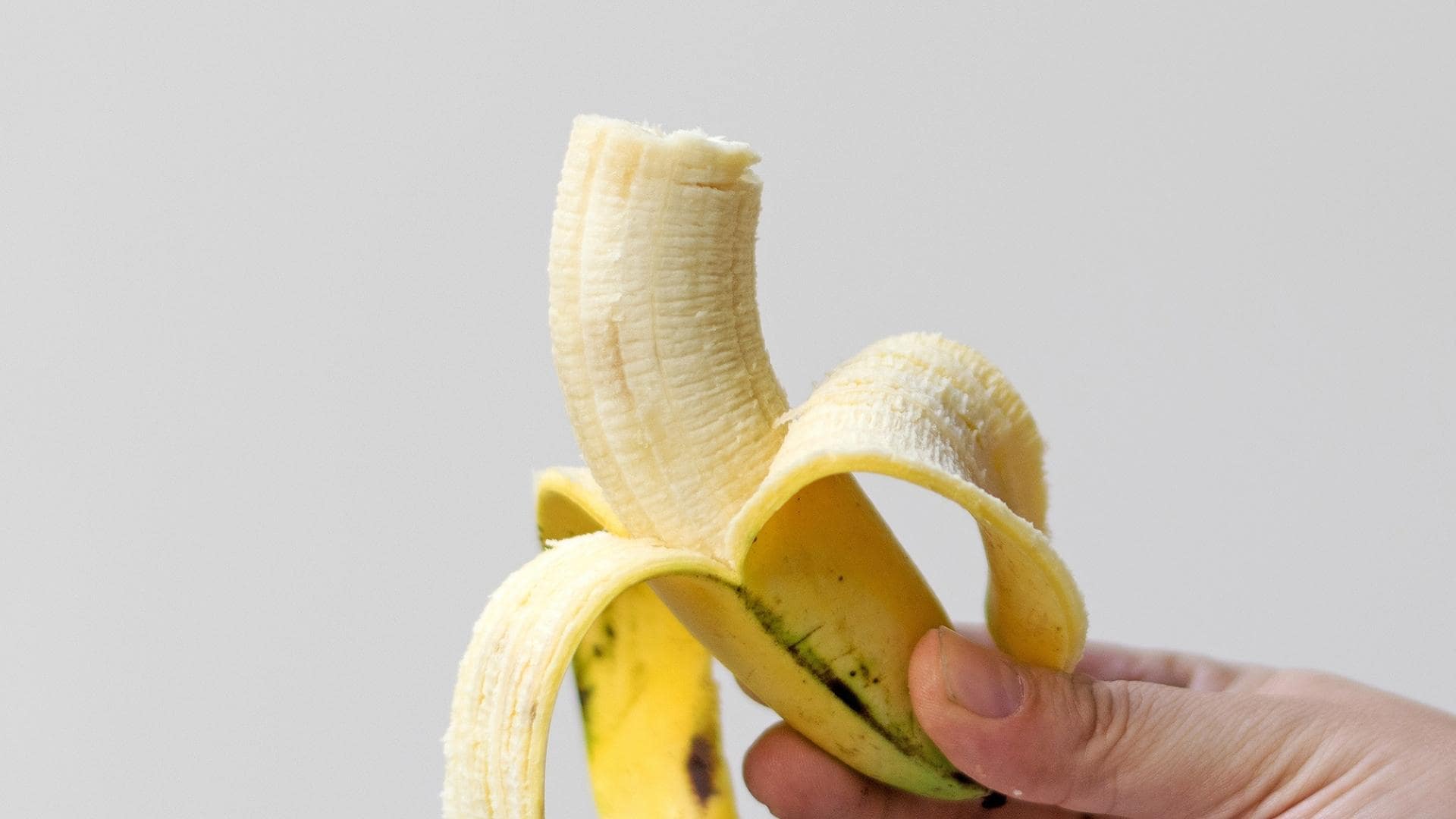 Can Dachshunds Eat Bananas? 13 Things You Should Know