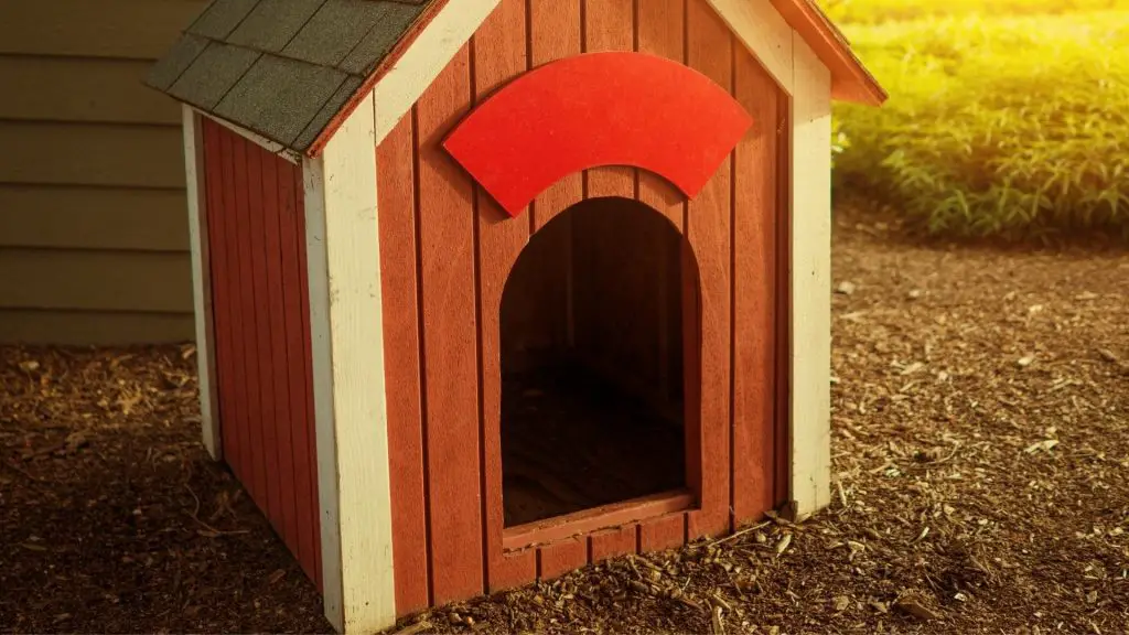 dog house