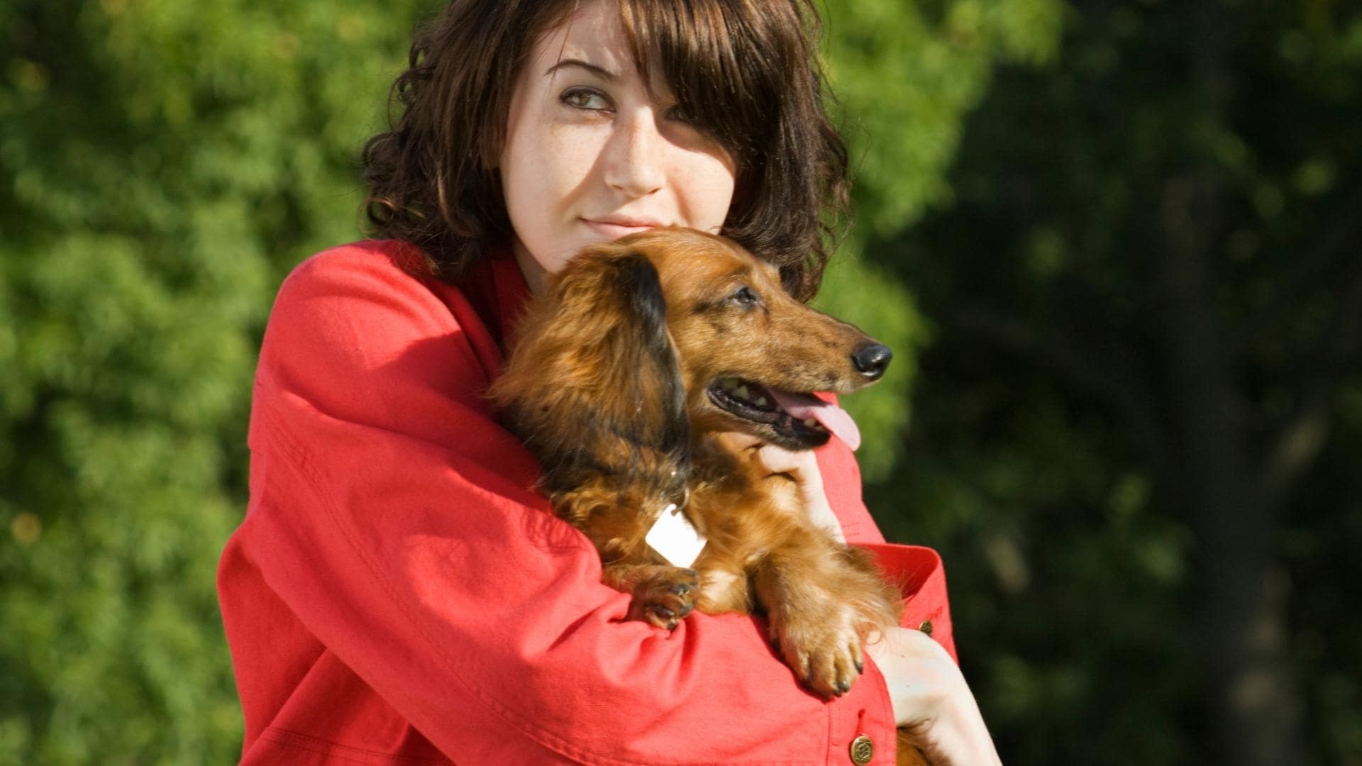 Why Are Dachshund So Needy And Clingy? 9 Easy Explanations