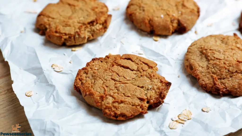 Pumpkin Peanut Butter Cinnamon Dog Treat Recipe