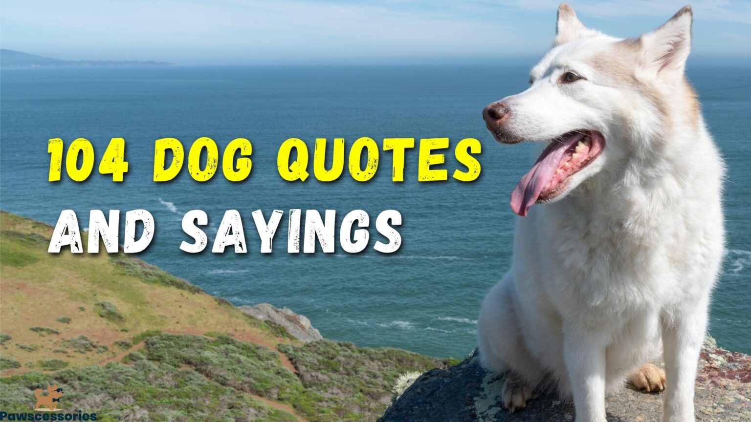 104 Funny & Cute Dog Quotes And Sayings (14 Is 🤣)