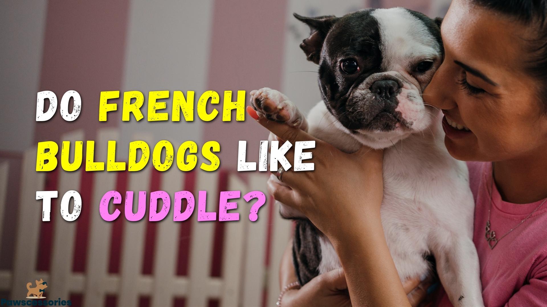 Do French Bulldogs Like To Cuddle? 17 Things To Know