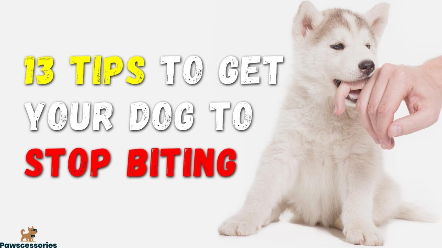 How To Stop A Dog From Biting (13 Solutions For Dog Biting)