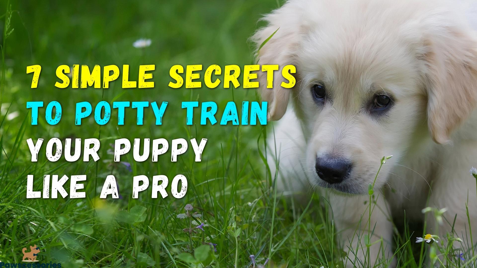 7 Simple Secrets To Potty Train Your Puppy Like A Pro