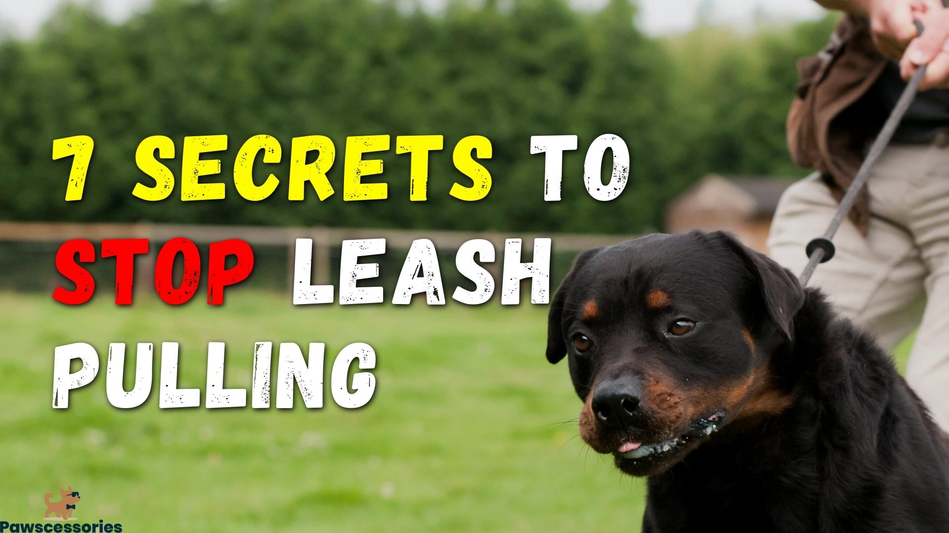 7 Secrets To Stop Leash Pulling In Just 10 Minutes Per Day