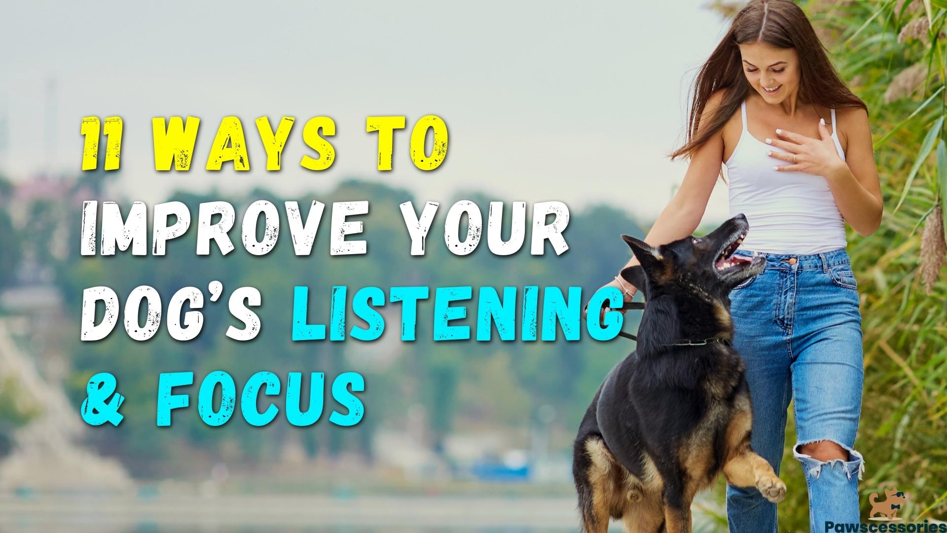 11 Ways To Improve Your Dog’s Listening Skills & Focus
