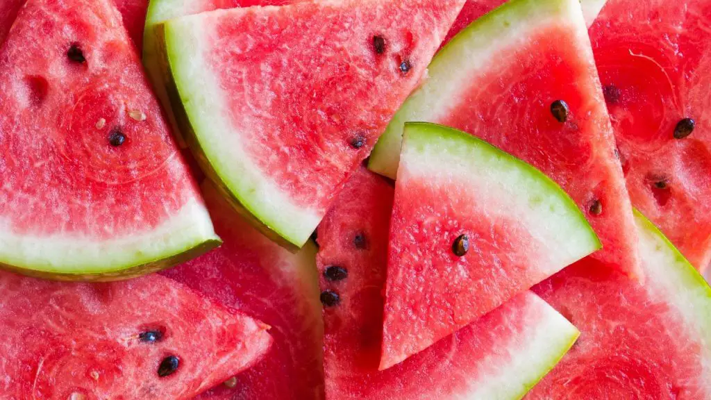 can dachshund eat watermelon