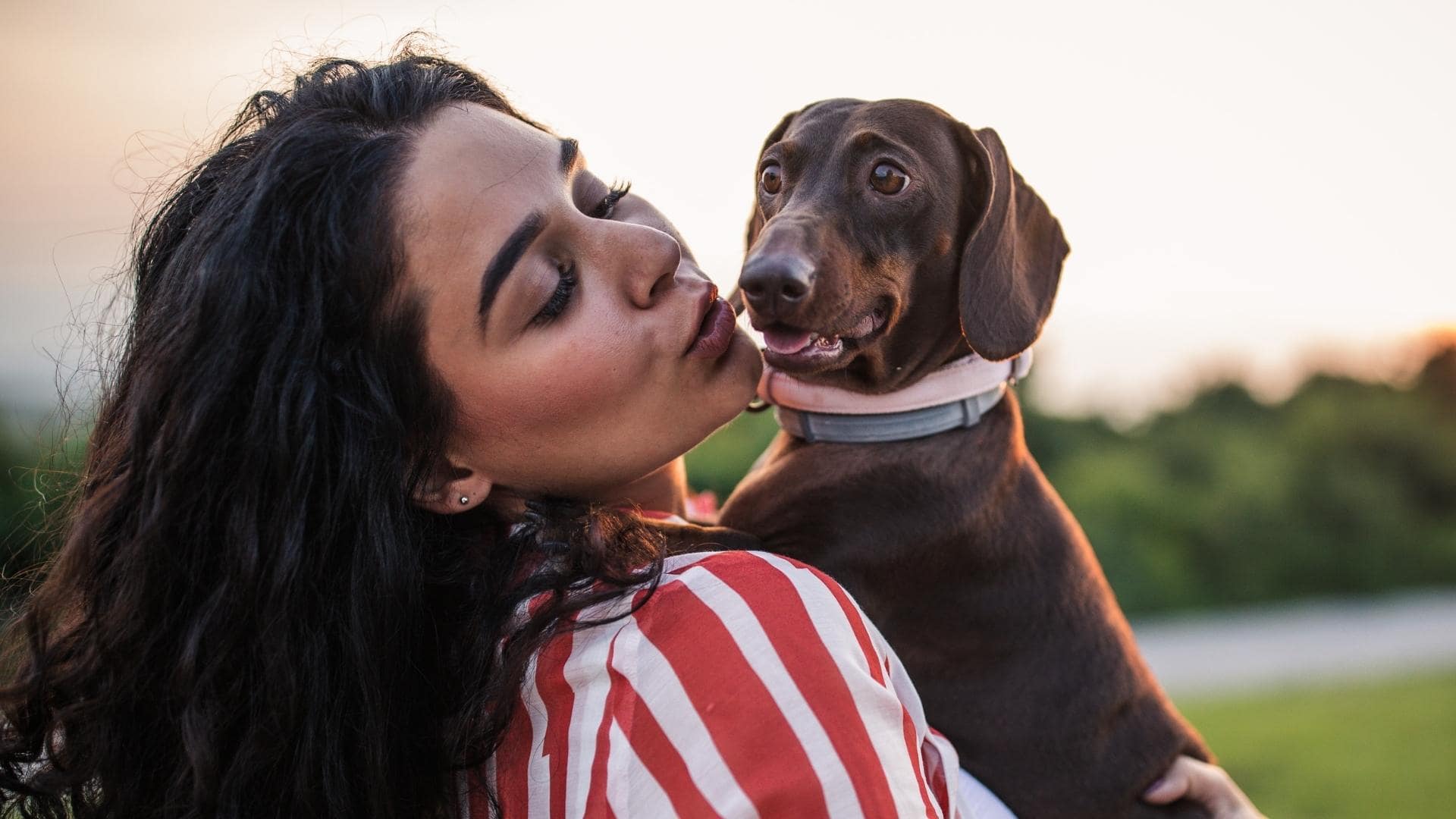 Dachshund Reverse Sneezing Why It Happens & What To Do