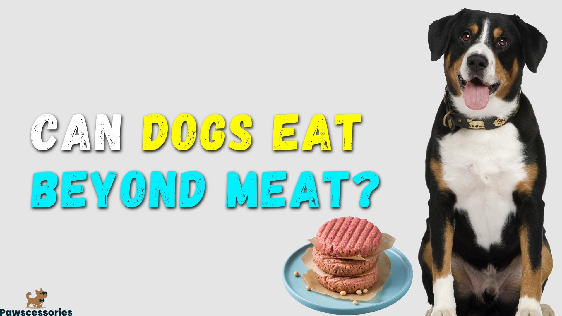 Can Dogs Eat Beyond Meat (Plant-Based)? Dangers + Tips