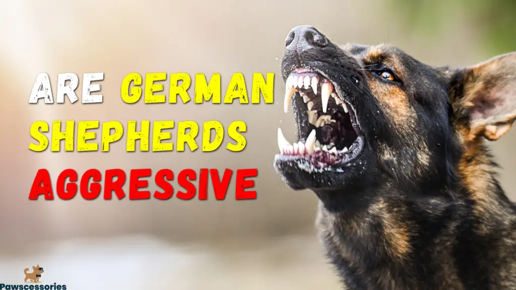 are german shepherds aggressive