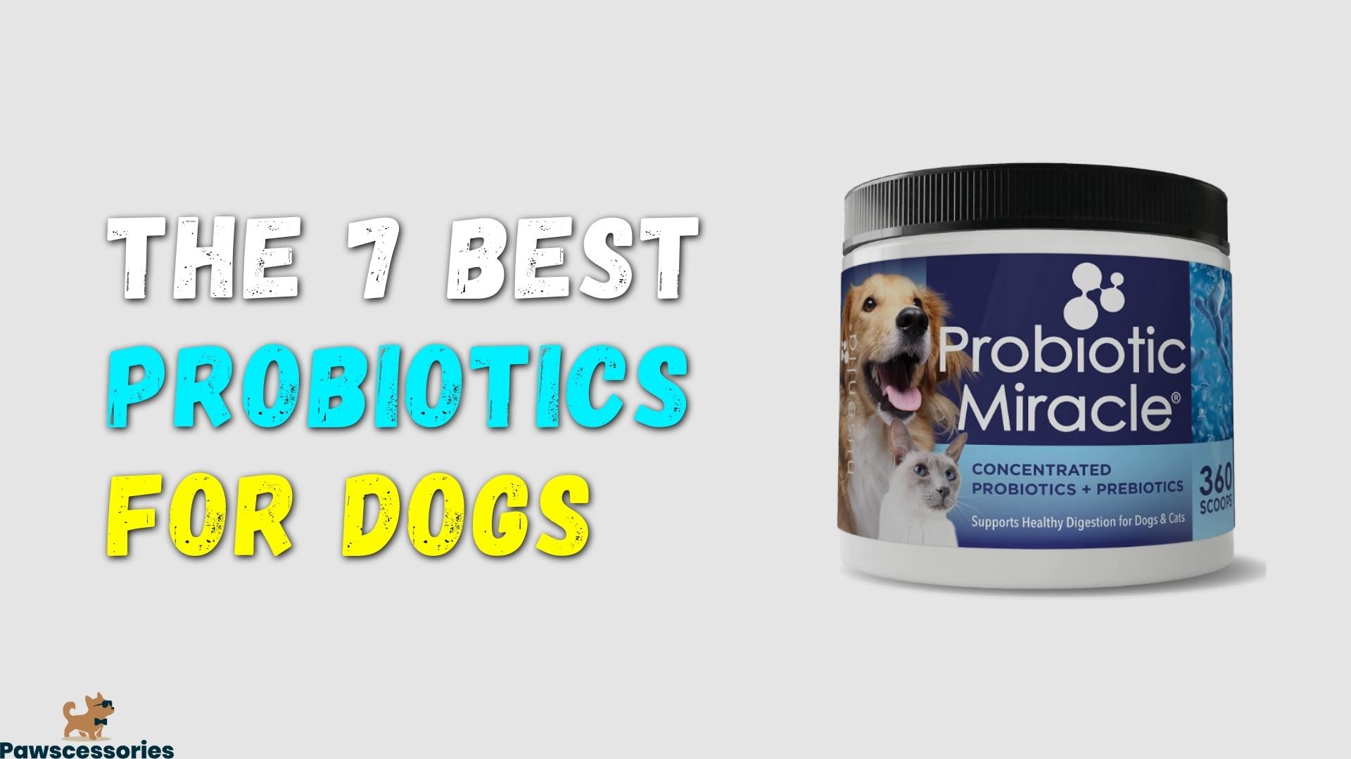 7 Best Probiotics For Dogs In 2022 (Vet Reviewed & Approved)