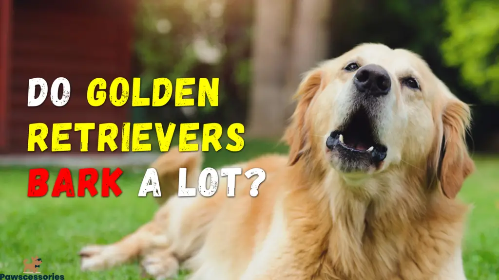 do golden retrievers bark a lot