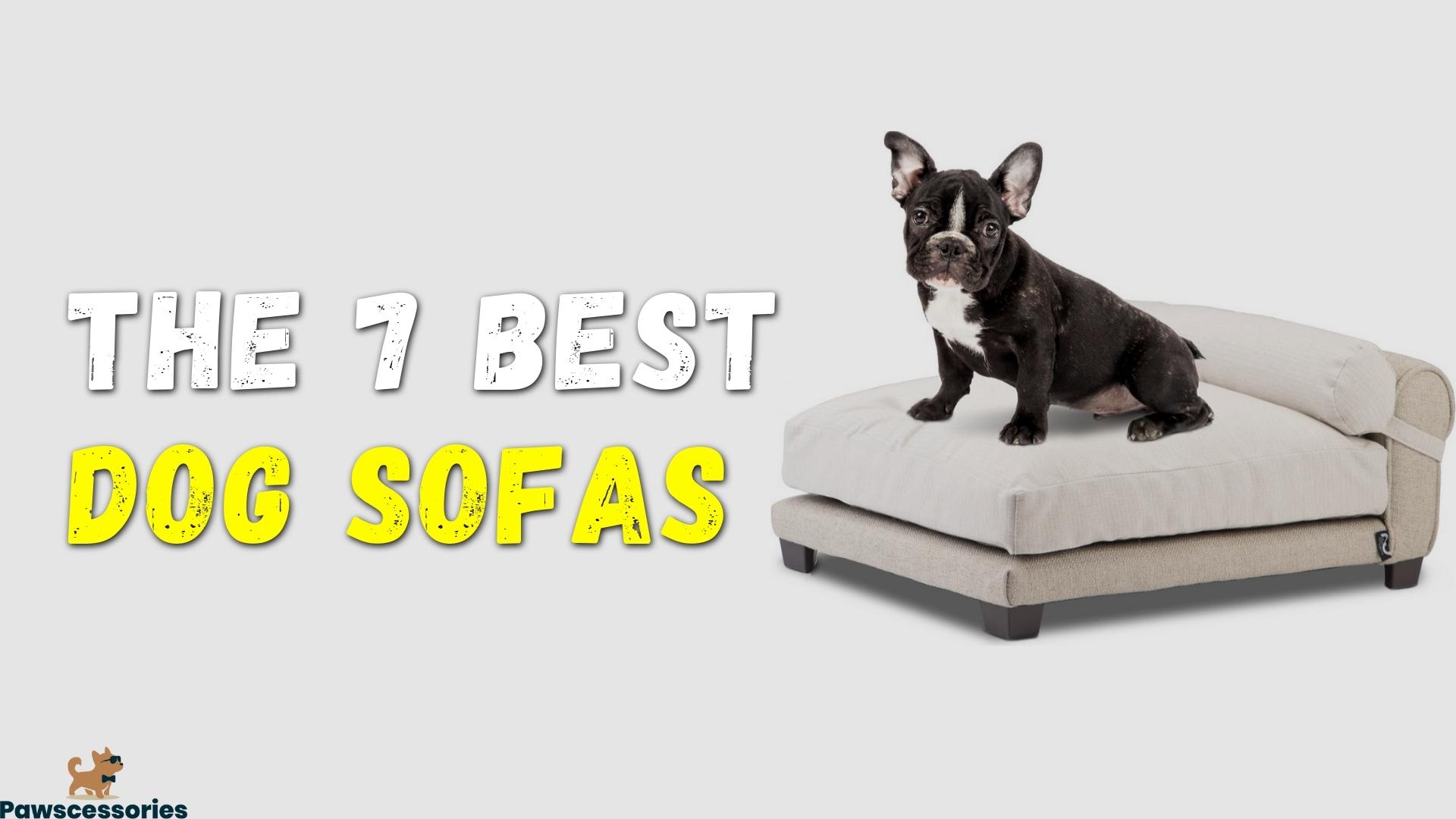 The Best Dog Sofa Beds Of 2022 Comfy Couch Dog Beds   Dog Sofa 