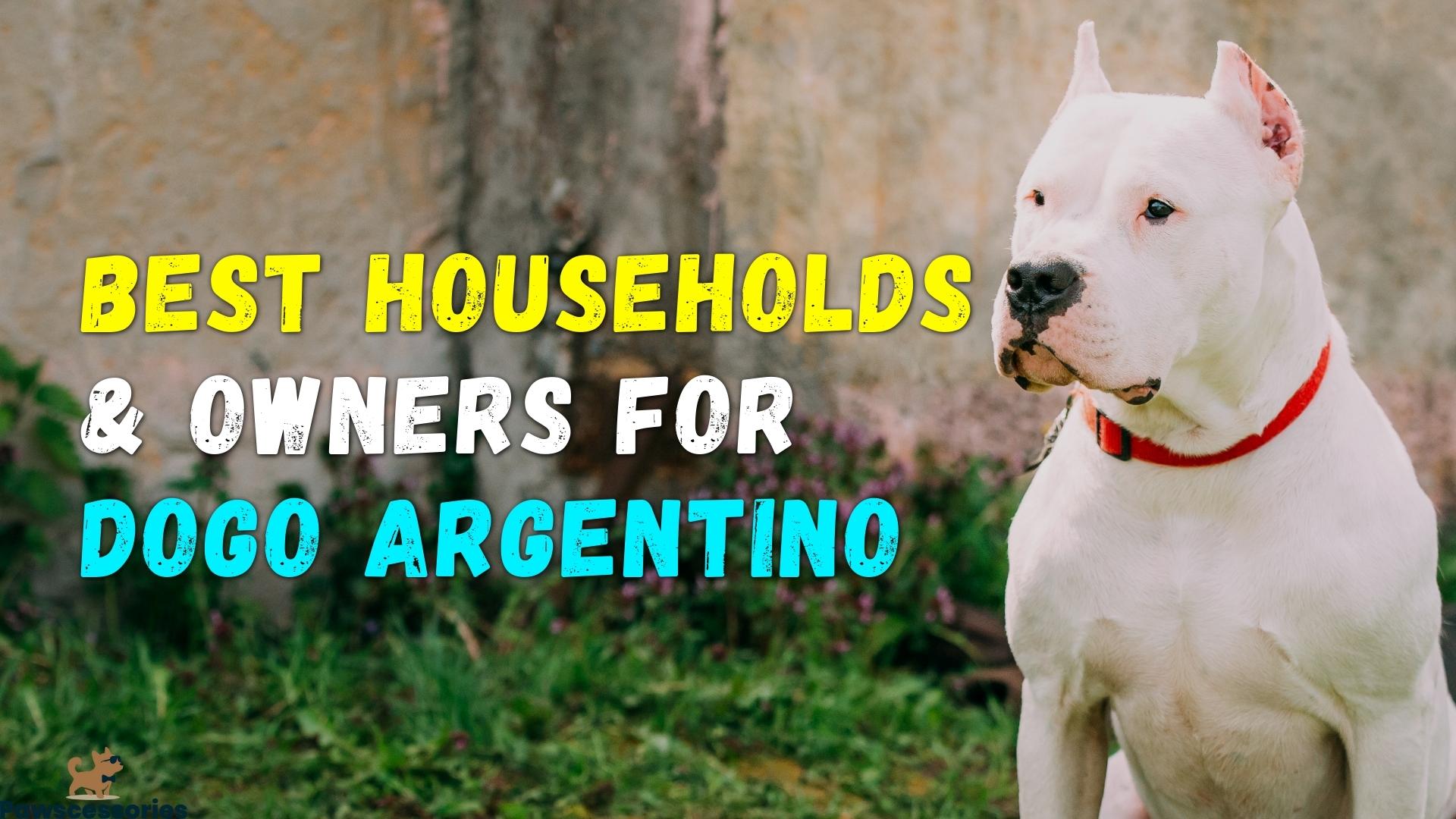 Dogo Argentino: The Best Households & Owners for Them