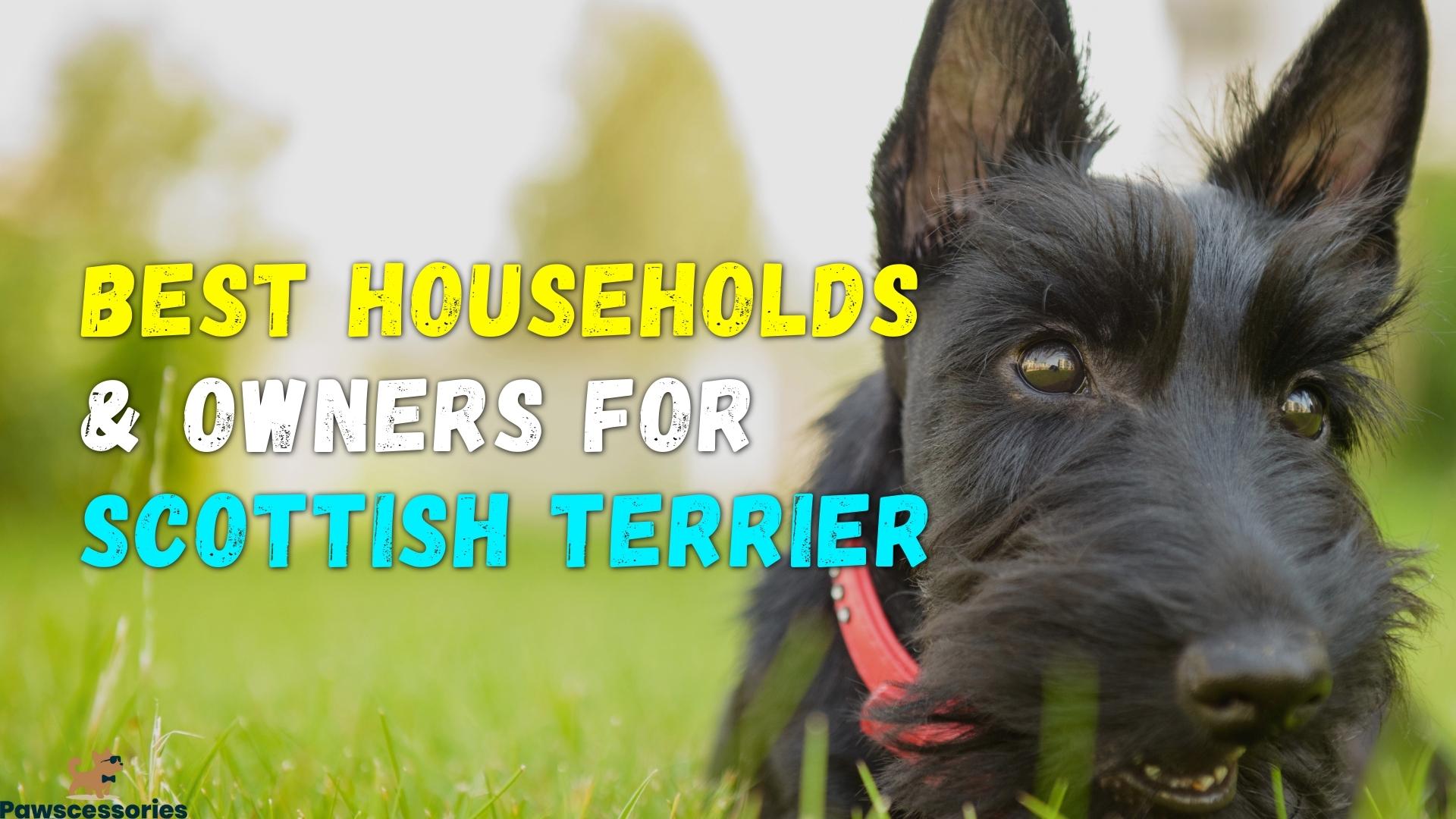 Good Scottish Terrier Households 