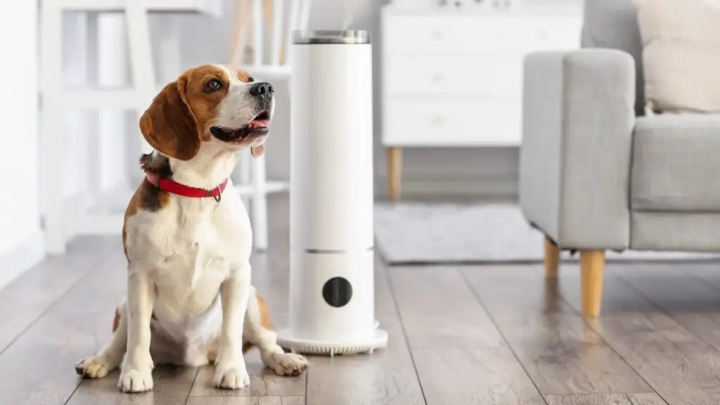 best air purifiers