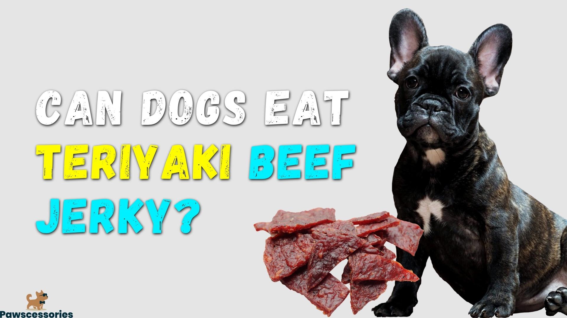 Can Dogs Eat Teriyaki Beef Jerky? 3 Dangers + Tips If They Do