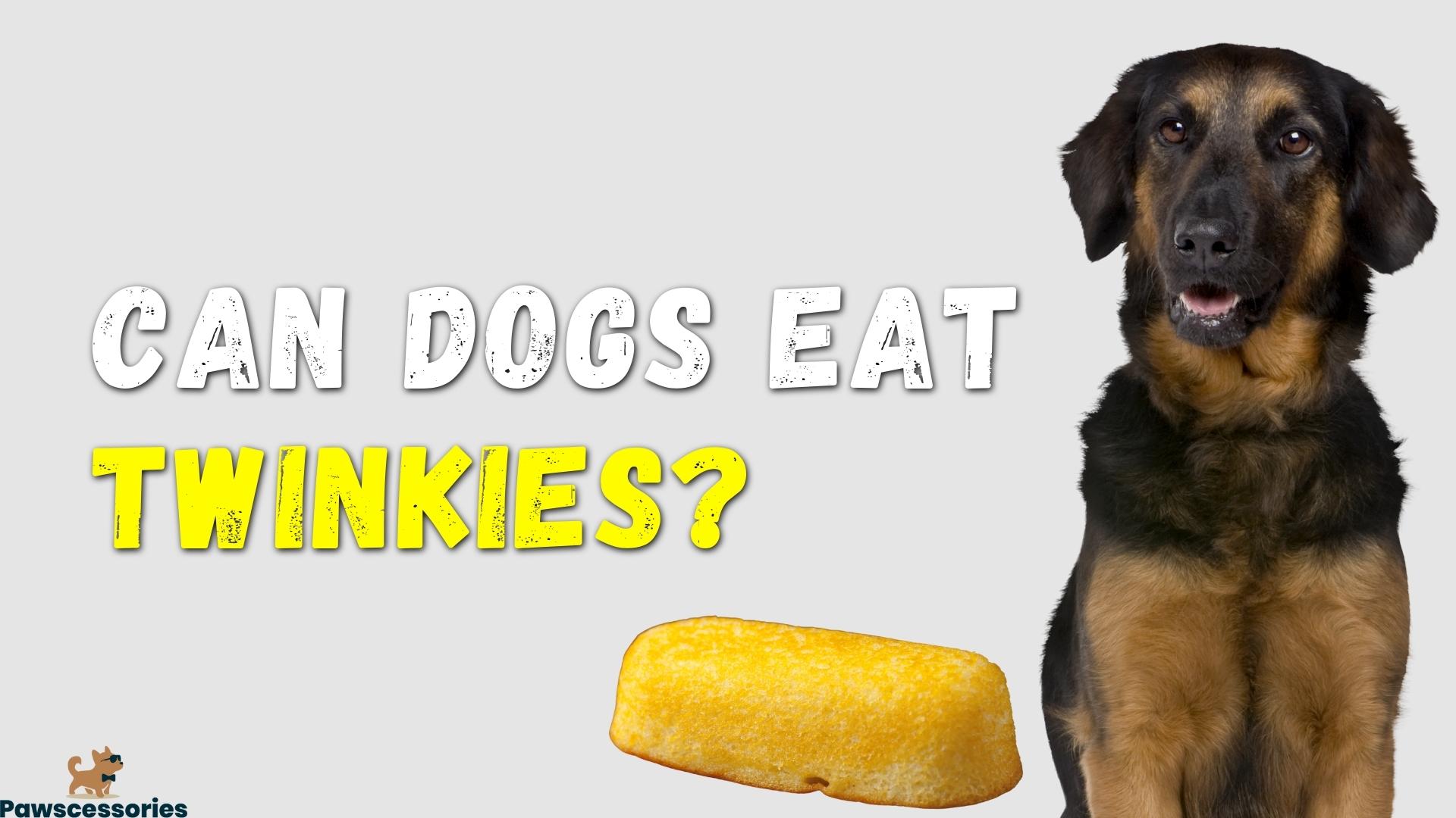 Can Dogs Eat Twinkies