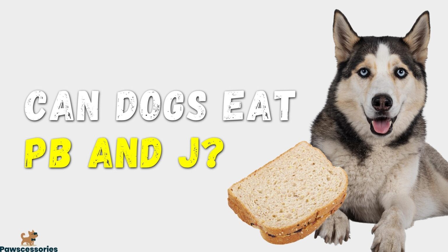 Can Dogs Eat Peanut Butter And Jelly Sandwiches?