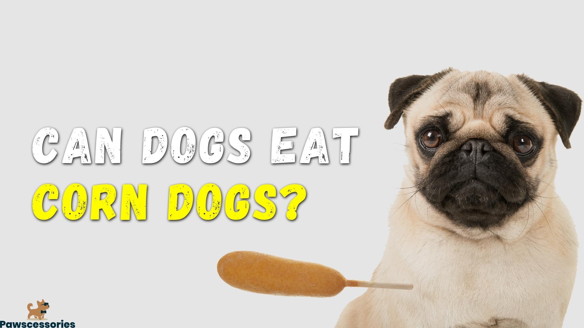 can-dogs-eat-corn-dogs-everything-you-need-to-know