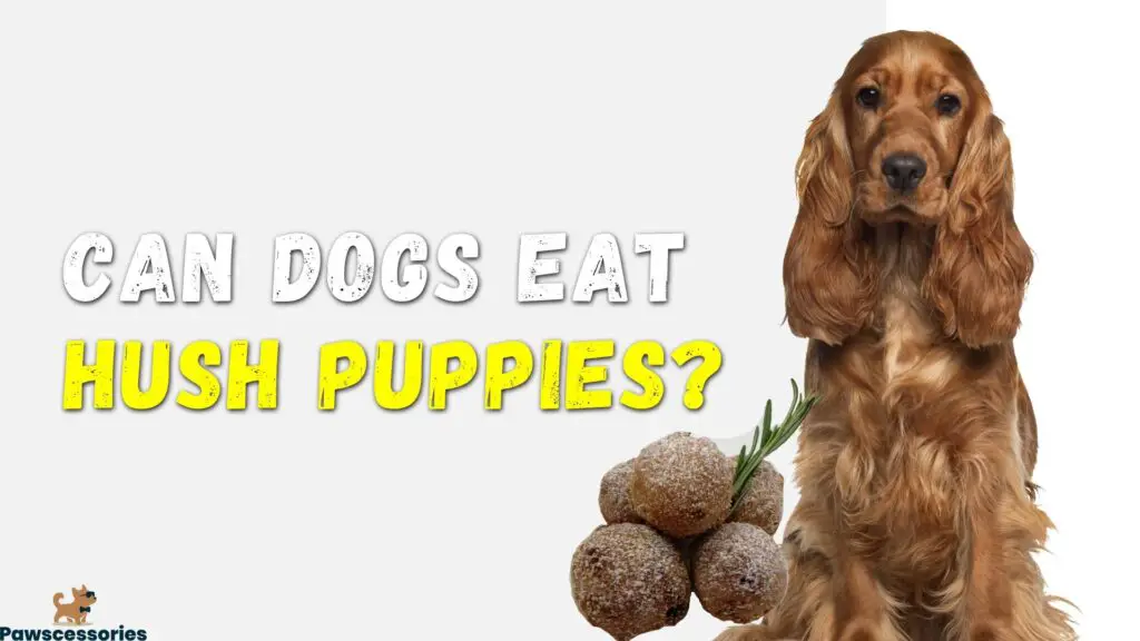 Can dogs eat hush puppies