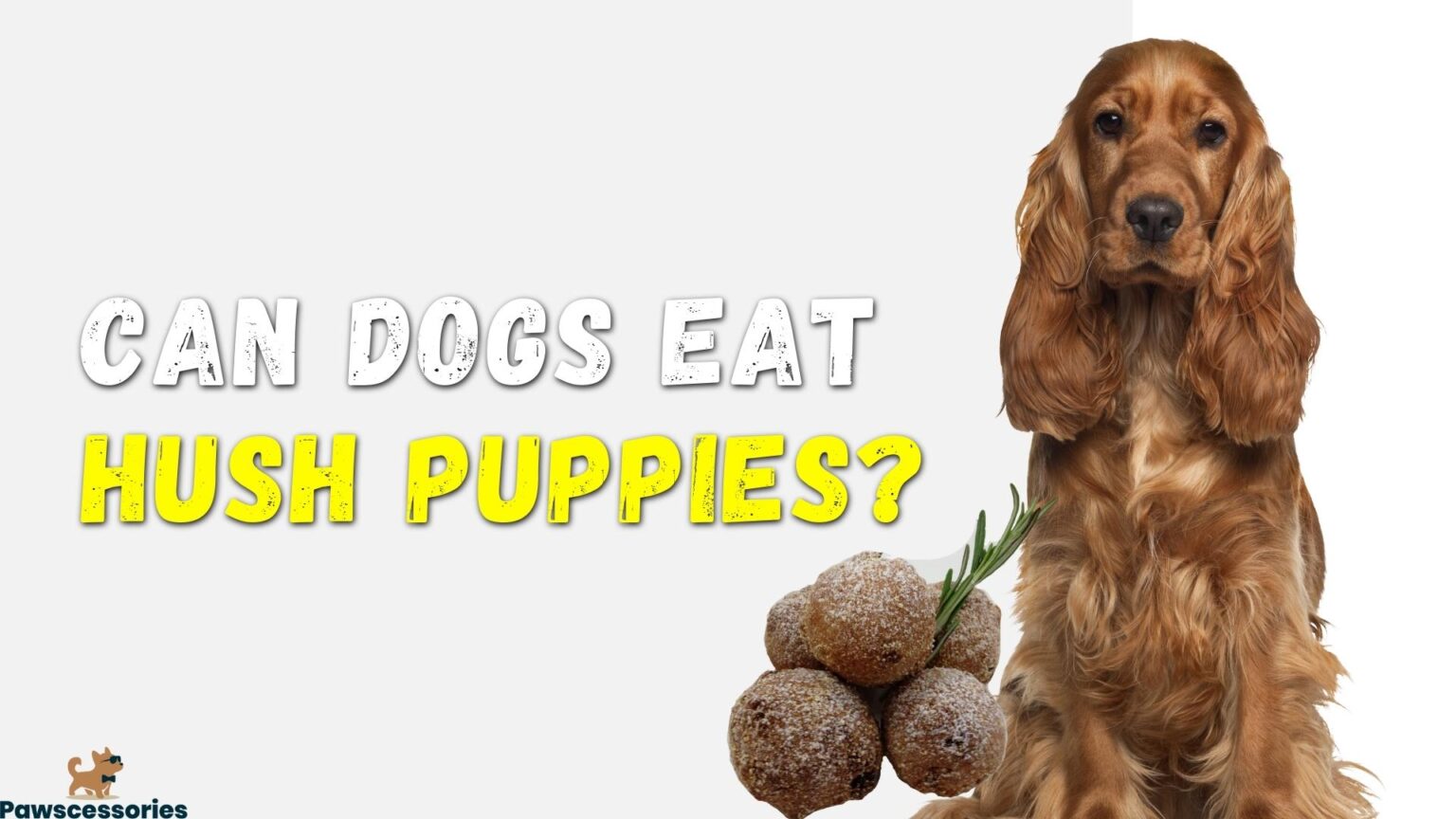 Can Dogs Eat Hush Puppies? 5 Dangers & Guide If They Do