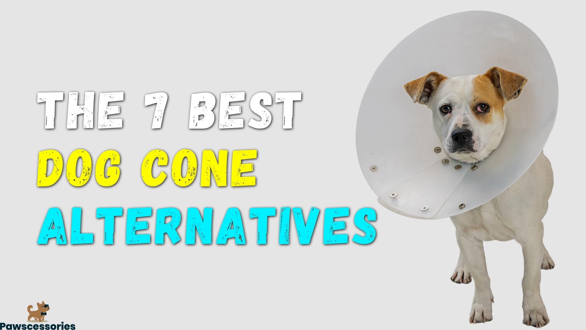 7 Best Dog Cone Alternatives That Actually Work (Vet Reviewed)
