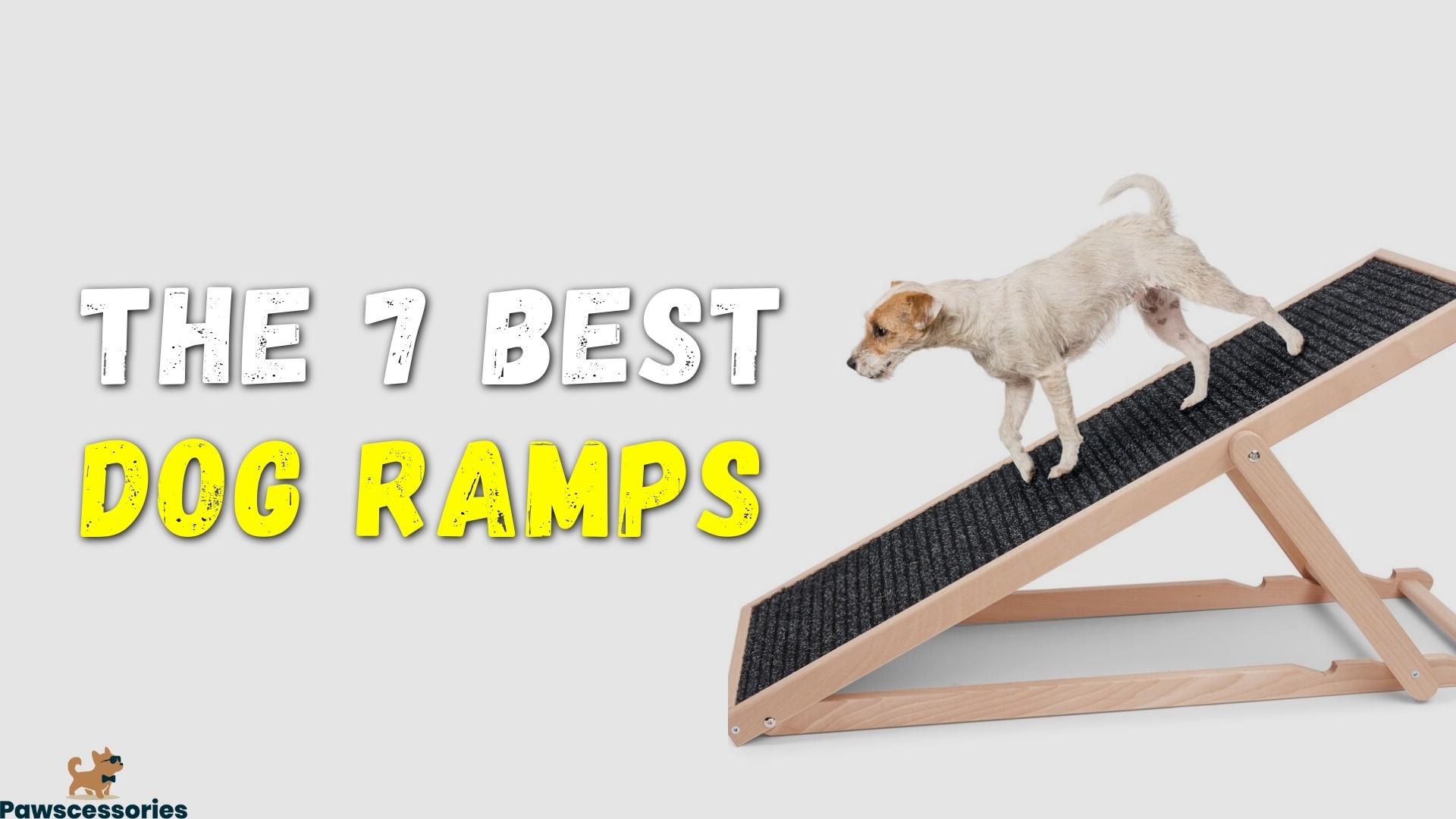 7 Best Dog Ramp Picks For Beds, Cars & More [2022 Review]