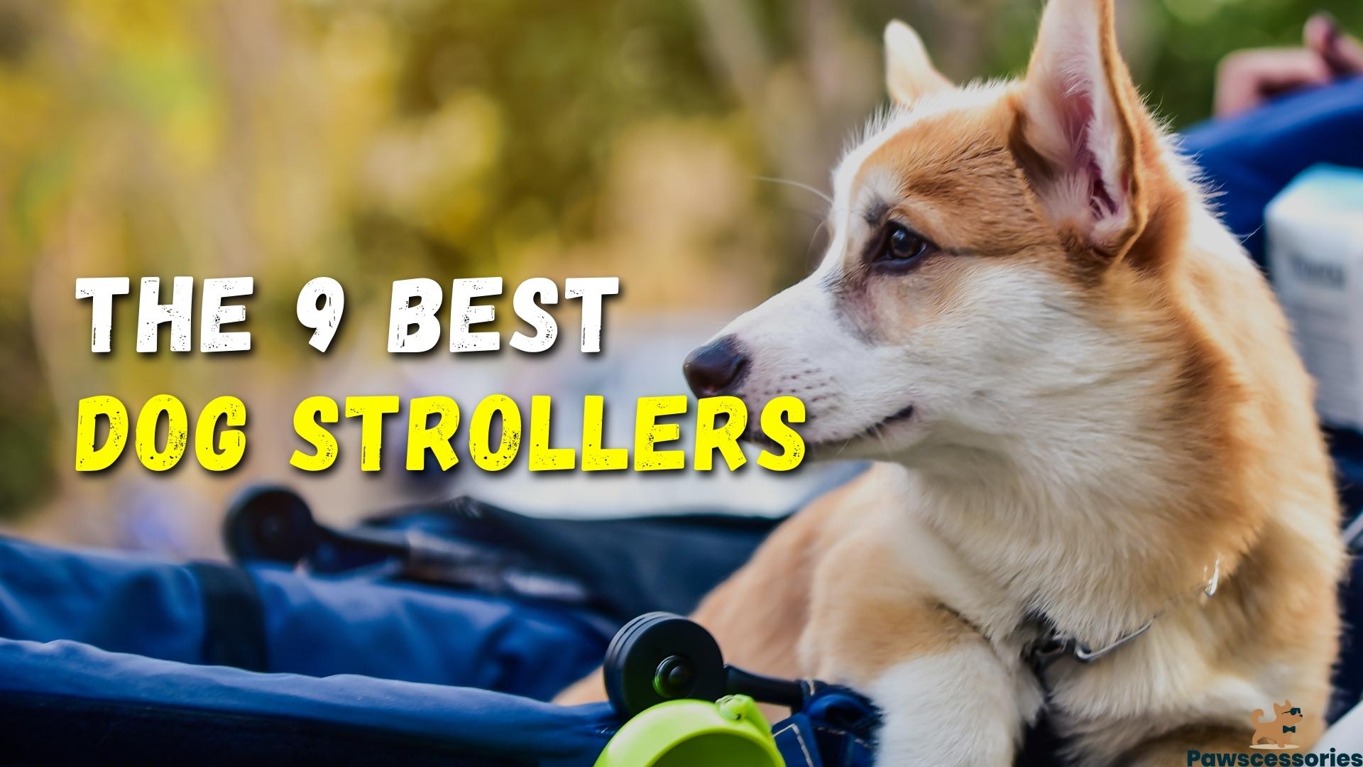 9 Best Dog Stroller Picks in 2022: Stylish Canine Carriers
