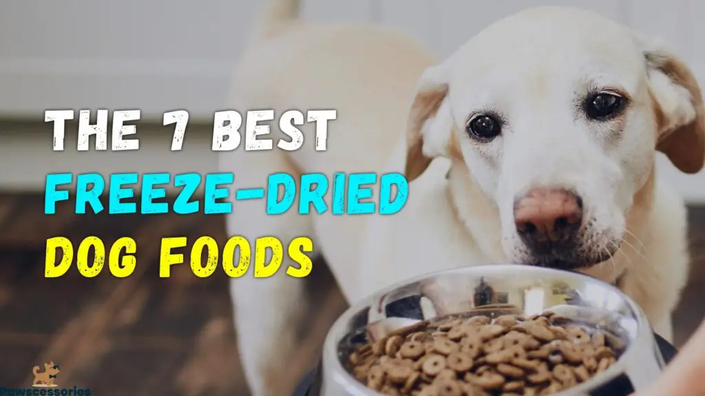 freeze dried dog food
